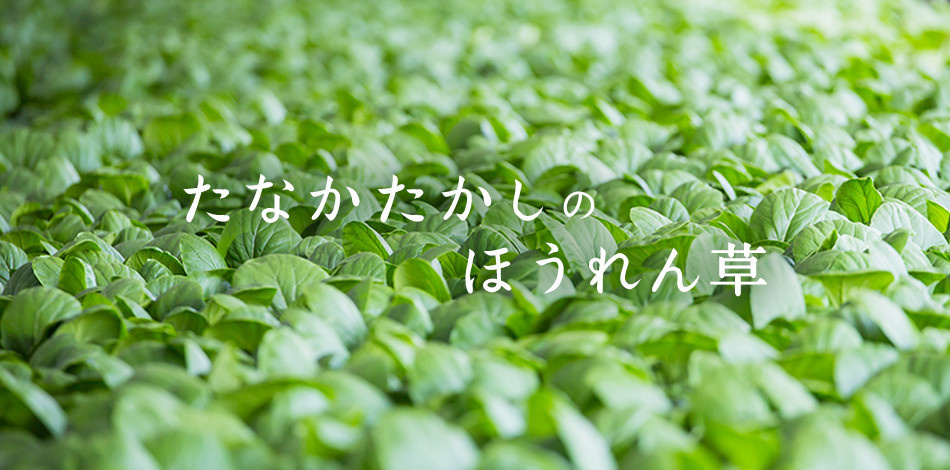 header_01-03.jpg