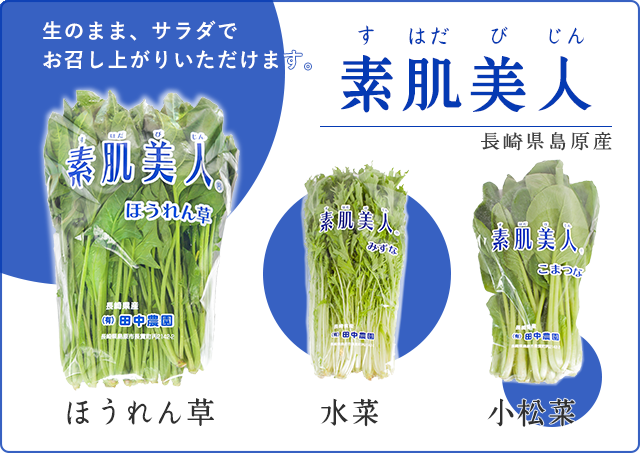 長崎県島原市 田中農園 素肌美人