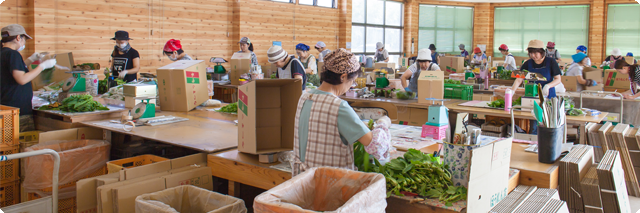 長崎県島原市 田中農園 しっかりとした品質管理